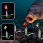 3 kroker Anti-drift bunnfiskerigg