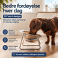 🐕🛡️ NÅ: 50 % RABATT I EN BEGRENSET PERIODE – Forhøyet, skråstilt hundematskål – 15° vinkel – SUS304 rustfritt stål – Reduserer fordøyelsesproblemer – For eldre hunder og leddproblemer 🍽️🐾✨