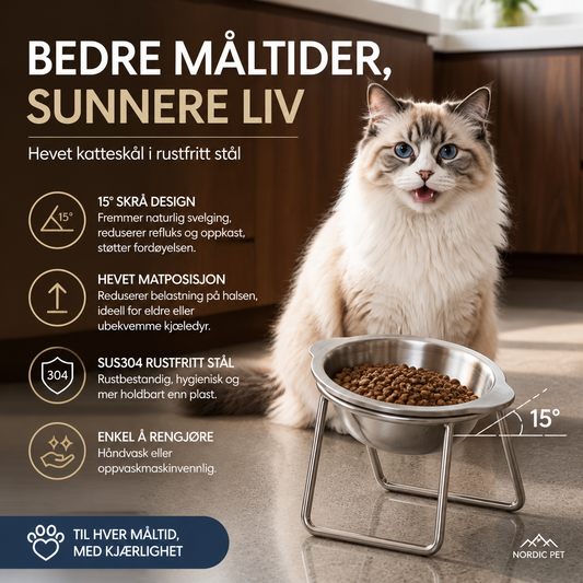 🐕🛡️ NÅ: 50 % RABATT I EN BEGRENSET PERIODE – Forhøyet, skråstilt hundematskål – 15° vinkel – SUS304 rustfritt stål – Reduserer fordøyelsesproblemer – For eldre hunder og leddproblemer 🍽️🐾✨