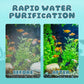 💧 Raskt akvariefilter – fjerner sand, avfall og rusk – justerbar oksygenering – stille drift
