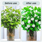 💐 Forleng blomstenes levetid – effektive brusetabletter mot bakterier og sopp – skånsomme for planter