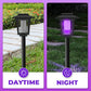 🔆 Solcelle mygglamp for utendørs – dobbel lys-teknologi (fiolett + hvit) – automatisk dag/natt-funksjon