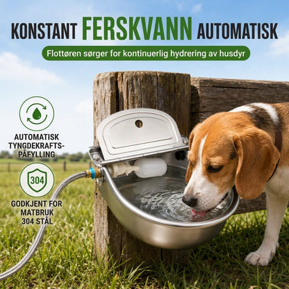 🚰🐄 NÅ: 50 % RABATT I EN BEGRENSET PERIODE – Automatisk drikkekar til dyr – Alltid friskt vann – Flyteventil – Ingen strøm nødvendig – Rustfritt stål – Enkel installasjon 🐴🛡️✨
